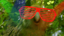 Kakapo Club GIF - Kakapo Club Dance GIFs