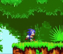 sonic the hedgehog is running through a green forest