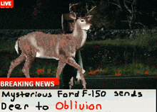 a ford f-150 is sending a deer to oblivion according to breaking news