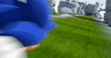 a blurred image of a sonic the hedgehog walking through a grassy field