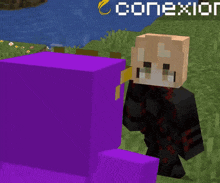 a purple block in a video game with the word conexion in the corner