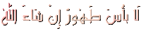 Sis Arabic Sticker - Sis Arabic Islamic Stickers