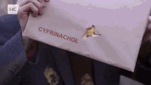 a person is holding a brown envelope that says cyfrinachol .