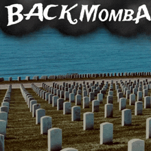 Black Momba GIF