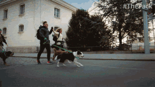 Crossing The Finish Line The Pack GIF - Crossing The Finish Line The Pack Mission Complete GIFs