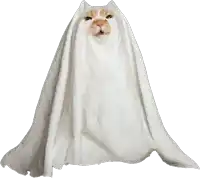a cat is wrapped in a white blanket with its mouth open