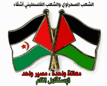 western sahara rasd sahara occidental palestine algeria