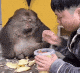 a boy is feeding a monkey banana slices while the monkey watches .