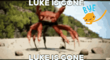 Luke Luke Is Gone GIF - Luke Luke Is Gone Bye GIFs