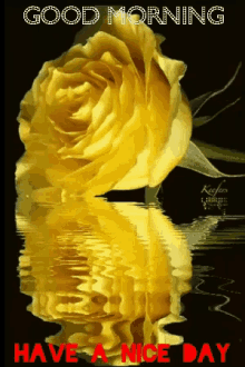 Yellow Rose Good Morning GIF - Yellow Rose Good Morning Have A Nice Day GIFs