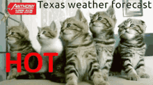 Texas Weather GIF - Texas Weather GIFs