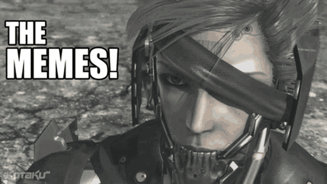 Metal Gear Rising Raiden GIF - Metal Gear Rising Raiden Oh My Goodness  Gracious - Discover & Share GIFs