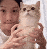 a woman is holding a cat in her hands and the cat is looking at the camera