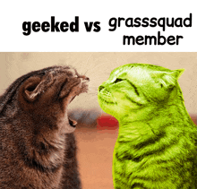 two cats are looking at each other with the words " geeked vs grasssquad member " above them