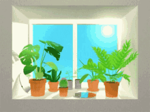 Növények Ablak GIF - Növények Ablak GIFs