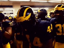 Michigan Wolverines Michigan Wolverines Gaf GIF