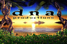 an ad for dna productions shows a sunset on the beach