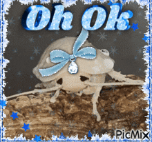 a picture of a bug with the words oh ok written on it