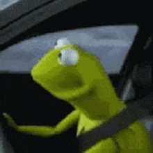 Kermit Wtf GIF - Kermit Wtf Slow Turn GIFs