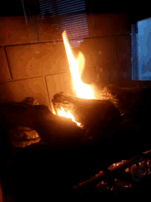 Fire Cooking GIF - Fire Cooking Barbecue GIFs