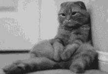 üzgün Kedi GIF - Uzgun Kedi GIFs