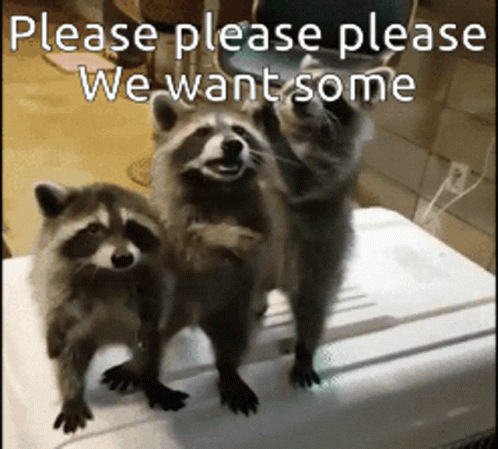 Please Please We Want Some GIF - Please Please We Want Some - Discover &  Share GIFs