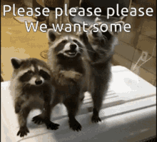please please we want some