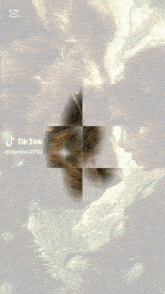 a picture of a lion with the name drqemz on the bottom right