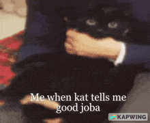 a picture of a cat with the caption me when kat tells me good job