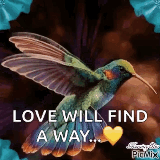 Humming Bird Love Will Find A Way GIF - Humming Bird Love Will Find A Way Heart GIFs