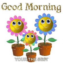 three potted flowers with smiley faces on them and the words good morning your the best .