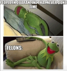Kermit Felons GIF - Kermit Felons Quarantine GIFs