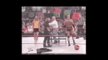 a group of people are standing in a wrestling ring with a referee .