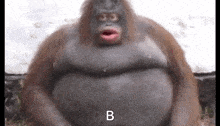 Uh Big GIF - Uh Big Gorilla GIFs
