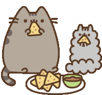 cat eating sushi gif