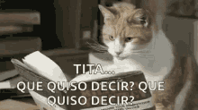 Cat Reading GIF - Cat Reading Que Quiso Decir GIFs