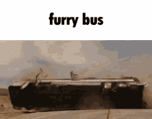 Furry Bus GIF