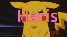 Haris Pikachu GIF - Haris Pikachu Anime GIFs