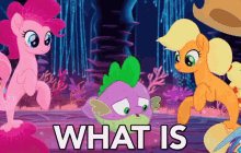 What Is Happening? GIF - My Little Pony What Is Happening My Little Pony Movie GIFs
