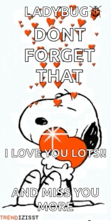 ladybug does n't forget that i love you lots ! and miss you more .