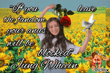 a girl in a field of sunflowers with the words if you the fandom your anus will be blocked