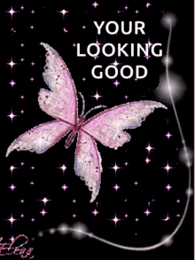 magical butterfly sparkling you are looking good