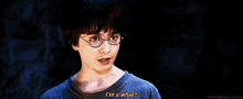 Harry Potter GIF - Harry Potter Wizard GIFs