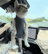 a cat is hanging from the roof of a car while a person holds the steering wheel