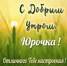 a greeting card in russian with a picture of a field of wheat and a sun shining through it .