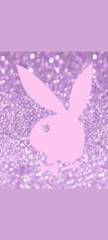 Playboy Bunny Doug Fischer GIF
