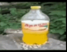 Lemonade GIF - Lemonade GIFs