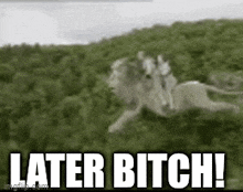 a lion is riding a horse on top of a hill .