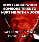 a poster that says how i laugh when someone tries to hurt me with a joke gay pride is male pride ladies ..