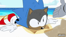 Tails Helps Sonic GIF - Tails Helps Sonic GIFs